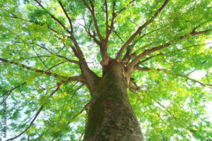 Picture of 高岡病院事務局