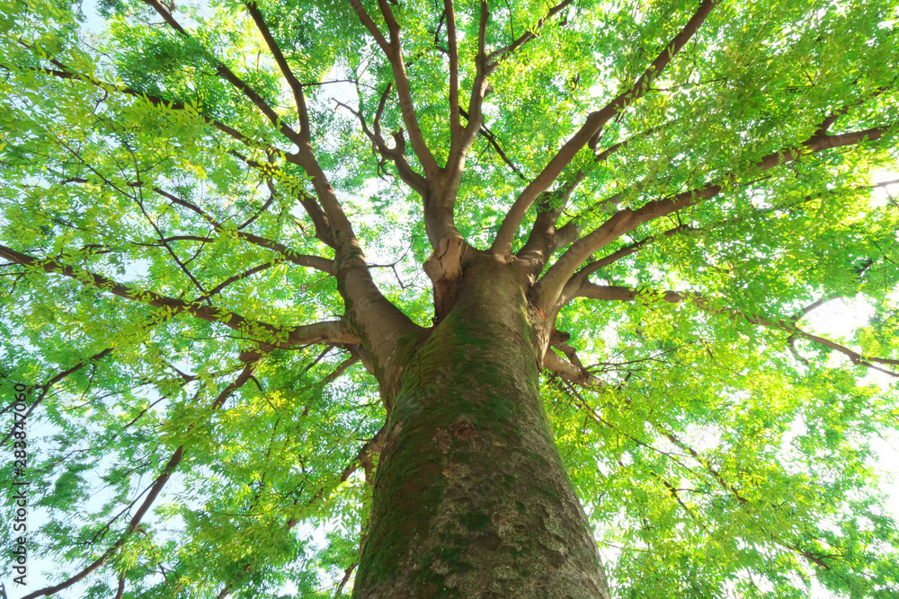 Picture of 事務局（お知らせ）    